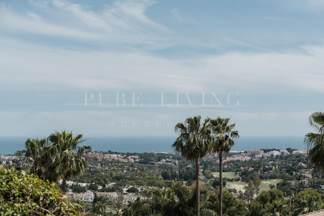Apartment in Puerto Banus, Marbella, Spain 5 - 17922909
