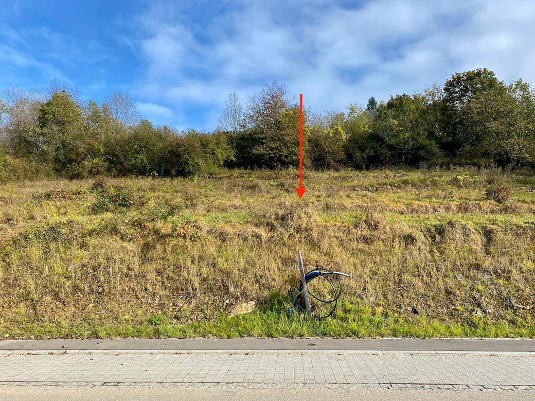 Flaxweiler, Grevenmacher, Luxembourg 1 - 19071090