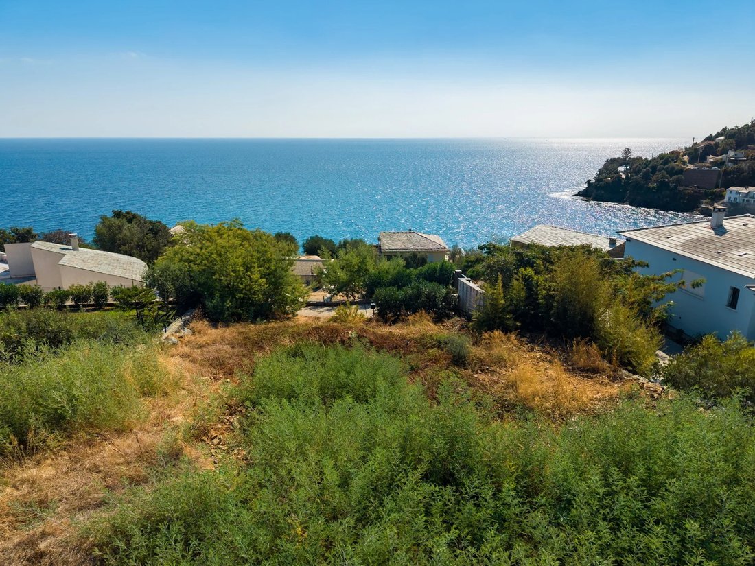 Terreno a Brando, Corsica, Francia 1 - 19070903