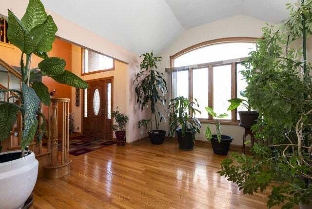Haus in Flossmoor, Illinois, Vereinigte Staaten 4 - 19074482