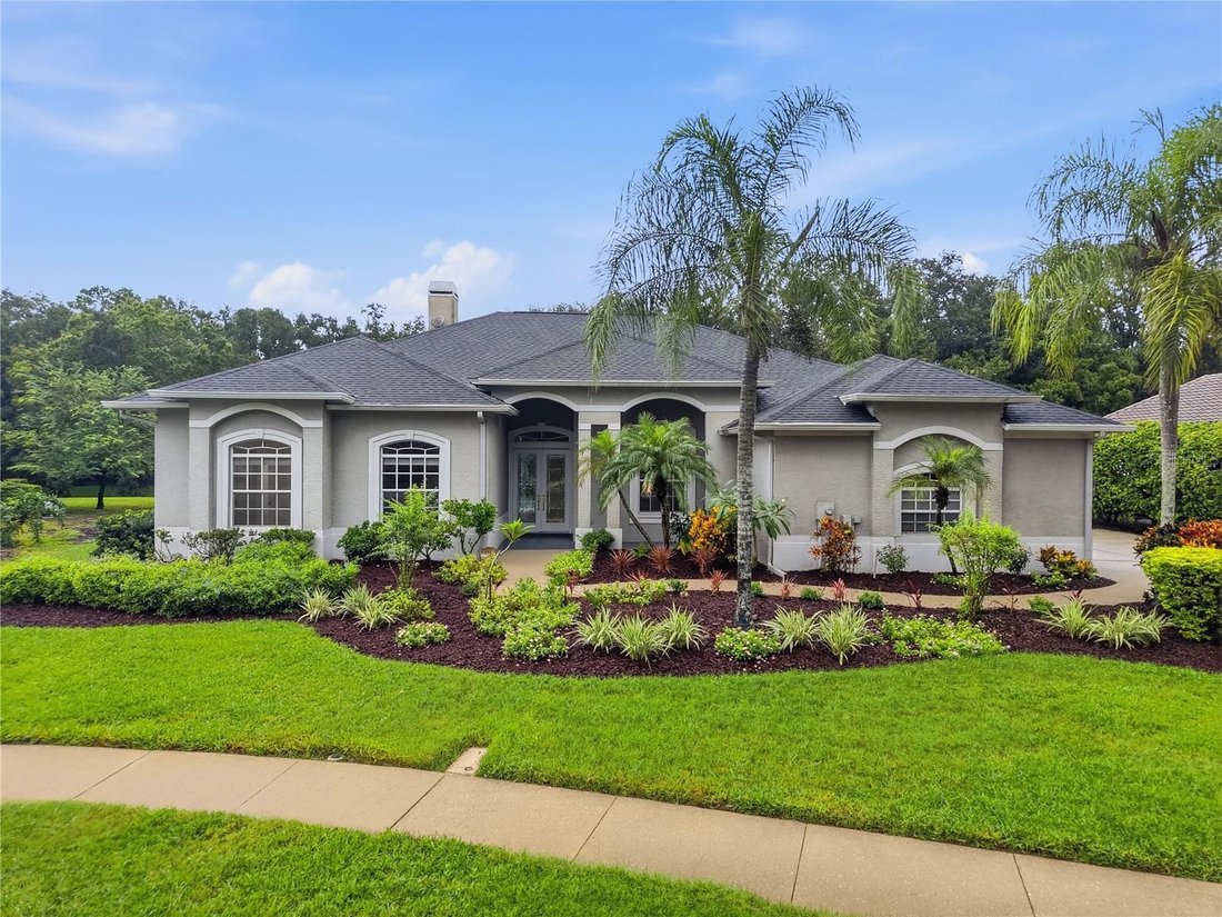 House in Palm Harbor, Florida, United States 1 - 19068742