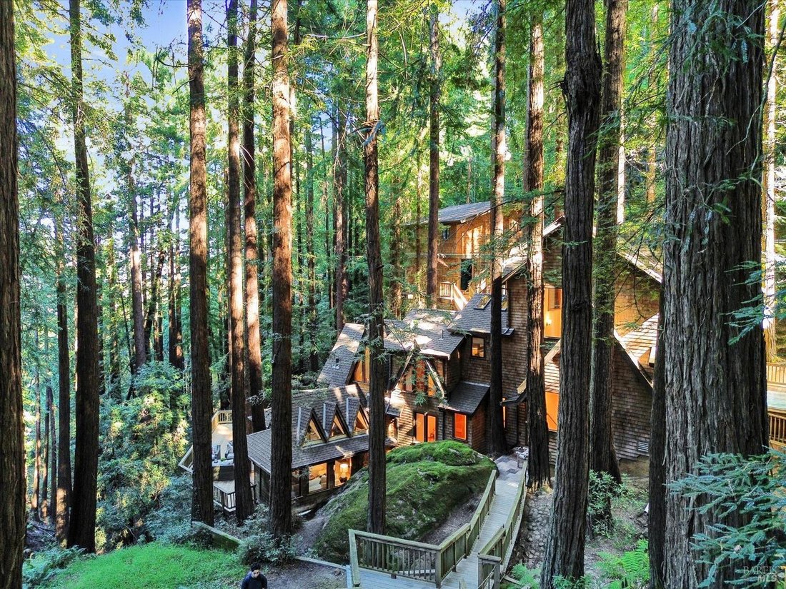 House in Mill Valley, California, United States 2 - 19075258
