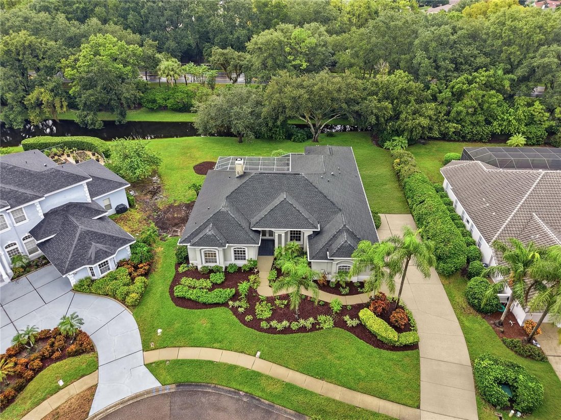 House in Palm Harbor, Florida, United States 2 - 19068742