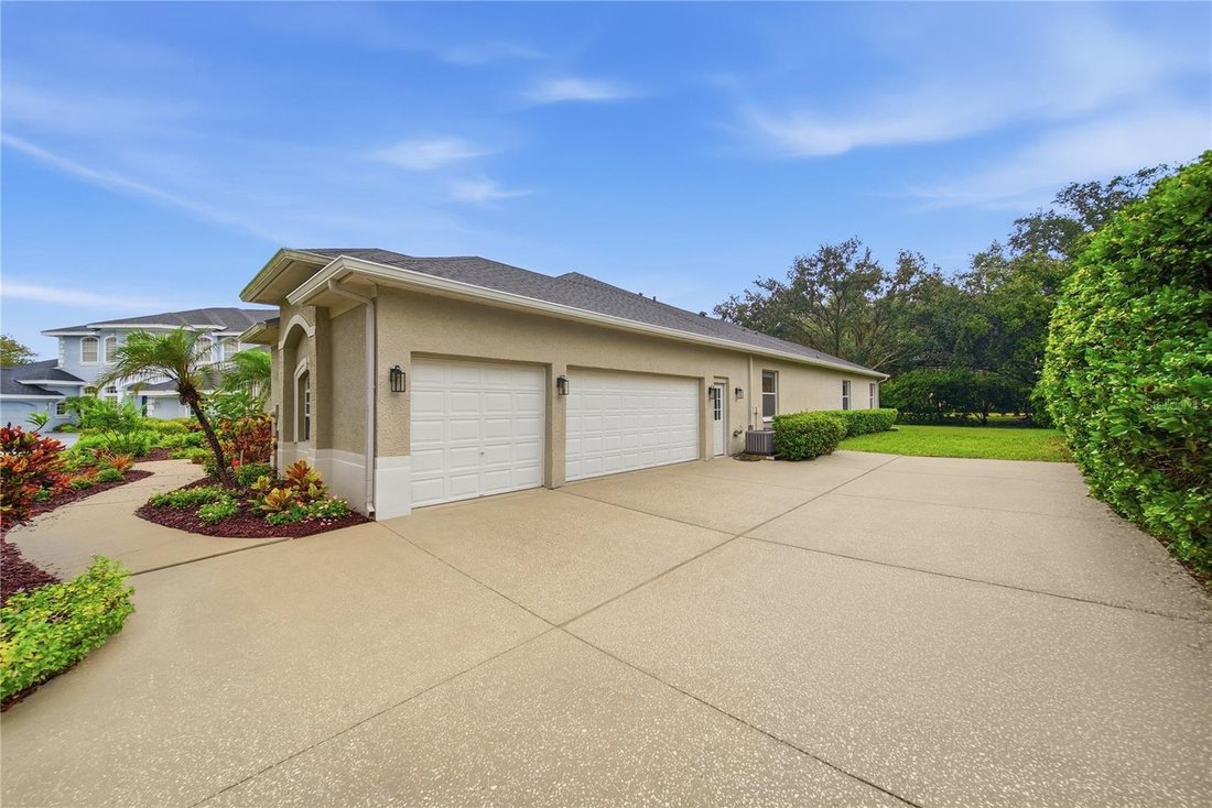 House in Palm Harbor, Florida, United States 5 - 19068742