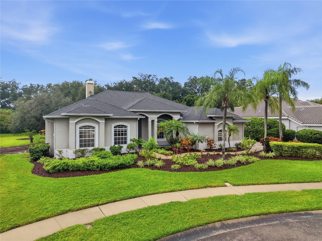 House in Palm Harbor, Florida, United States 3 - 19068742