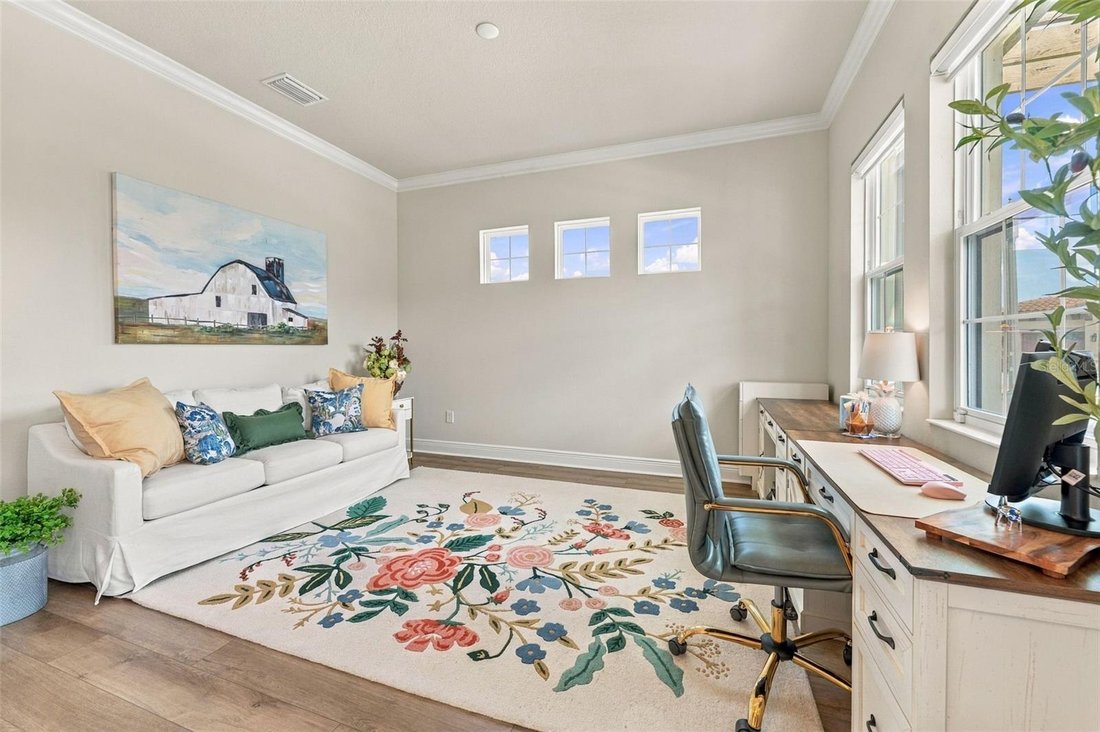 House in Lithia, Florida, United States 5 - 19074116