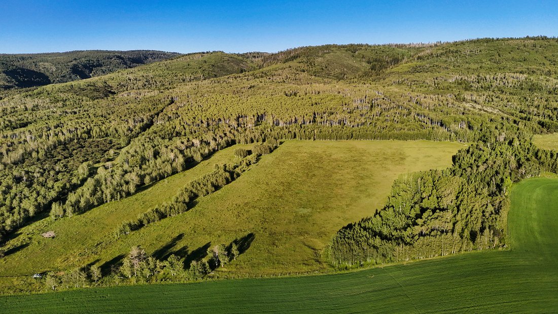 Terreno a Alta, Wyoming, Stati Uniti 5 - 19072475