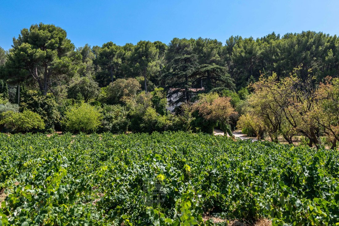 Maison à Périphérie, Cassis, France 3 - 19074863