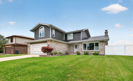 Maison à Tinley Park, Illinois, États-Unis 1
