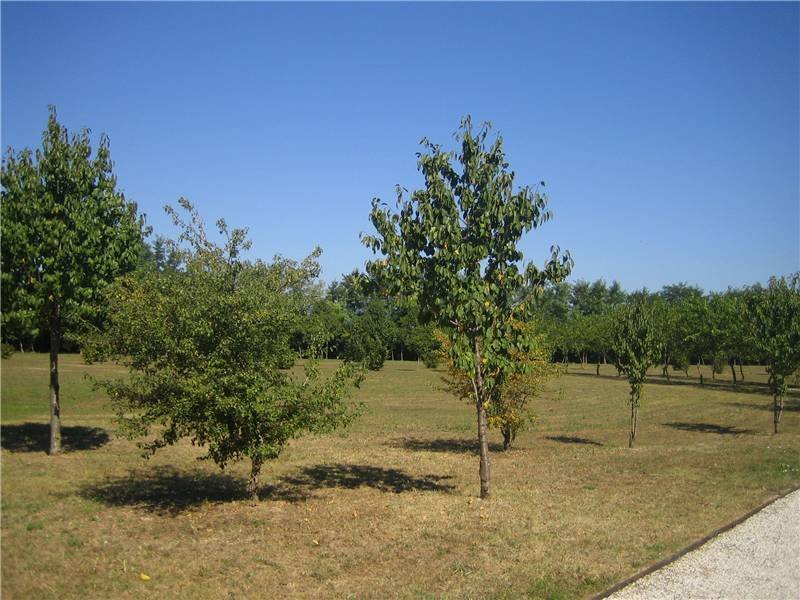Maisons de campagne à Spresiano, Vénétie, Italie 5 - 16555605