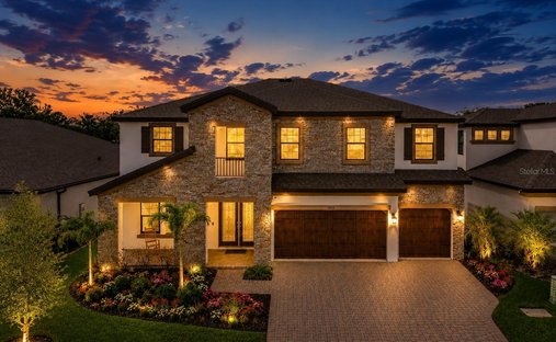 Haus in Riverview, Florida, Vereinigte Staaten 1