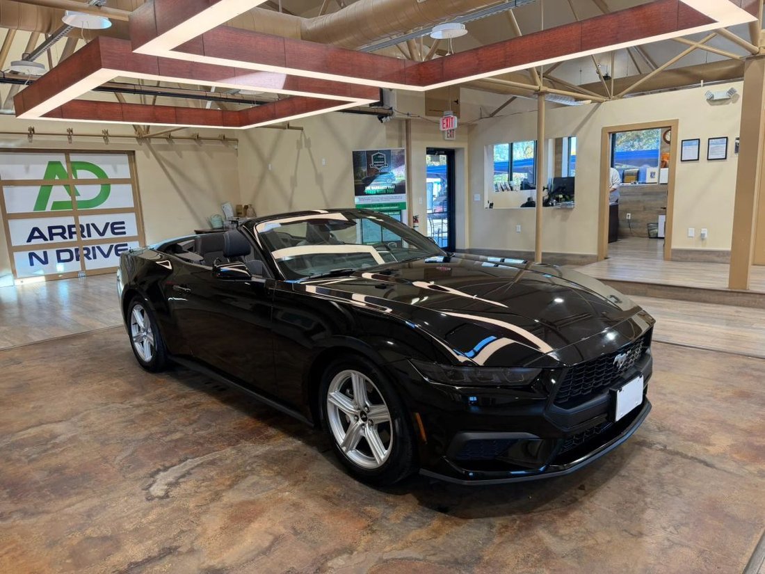 Cabriolet in Lakewood, CO, United States 2 - 19075959
