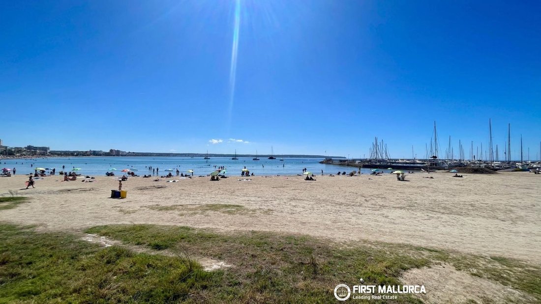 Villa in Palma, Balearische Inseln, Spanien 5 - 19070478