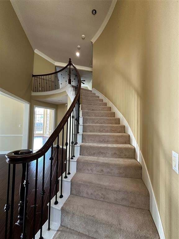 House in Allen, Texas, United States 4 - 19069572