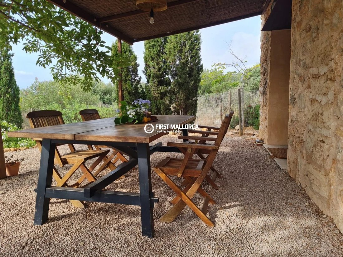 Finca a Calvià, Isole Baleari, Spagna 3 - 19070627