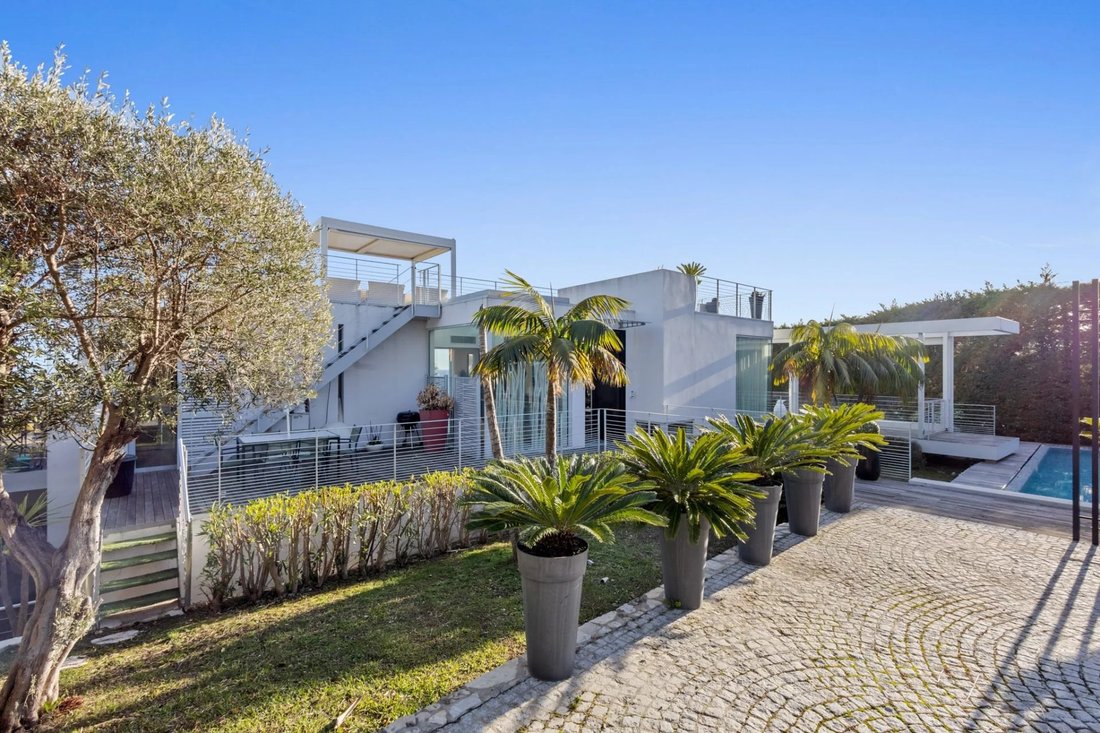 Villa in Cannes, Provence-Alpes-Côte d'Azur, France 4 - 19075222