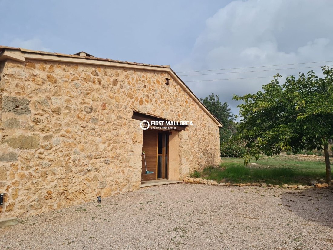 Finca a Calvià, Isole Baleari, Spagna 4 - 19070627