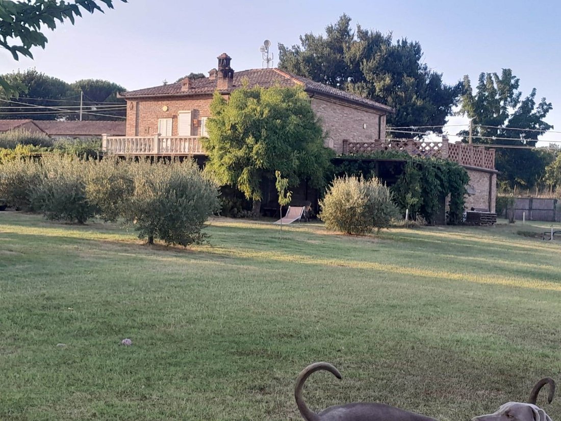 Landhaus in Lucignano, Toskana, Italien 5 - 15908421