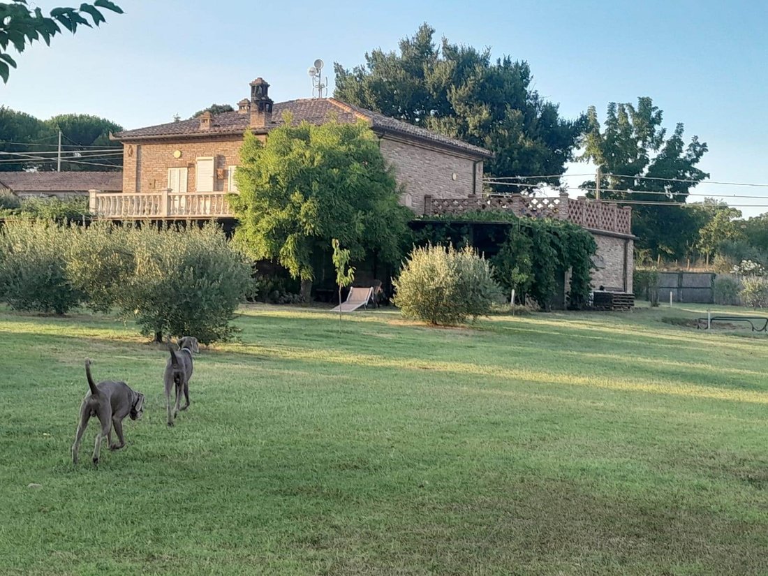 Landhaus in Lucignano, Toskana, Italien 3 - 15908421