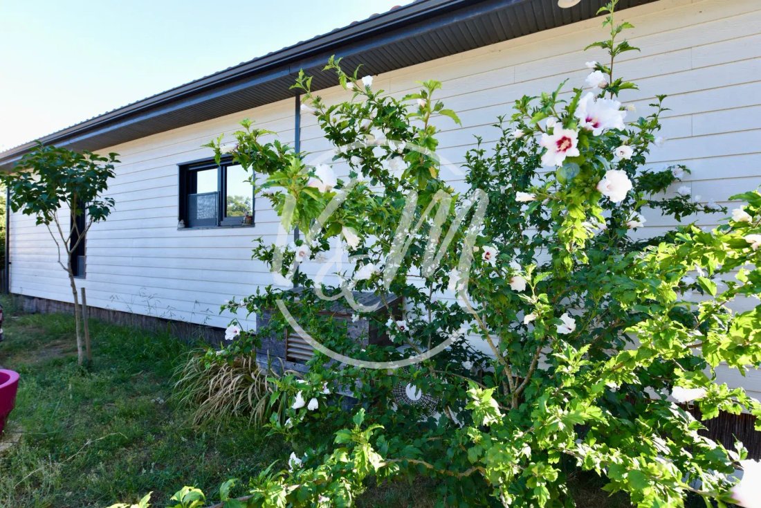 House in Saumos, Nouvelle-Aquitaine, France 4 - 19070848