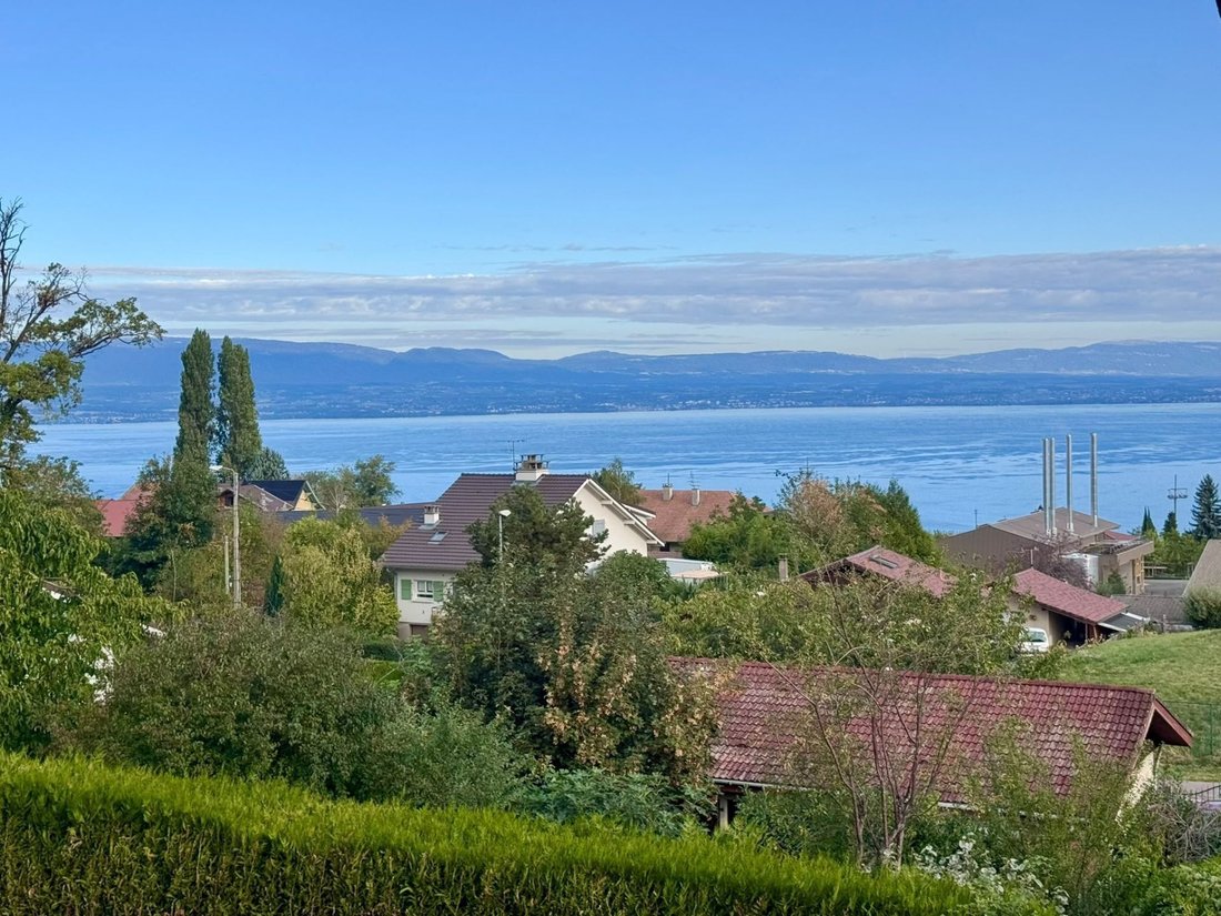 Haus in Evian-les-Bains, Auvergne-Rhone-Alpen, Frankreich 3 - 18682333