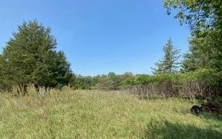 Terrain à Sartell, Minnesota, États-Unis 4 - 19083261