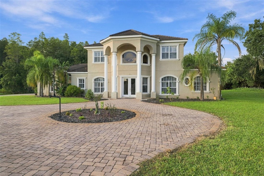 House in Land O' Lakes, Florida, United States 4 - 19078867