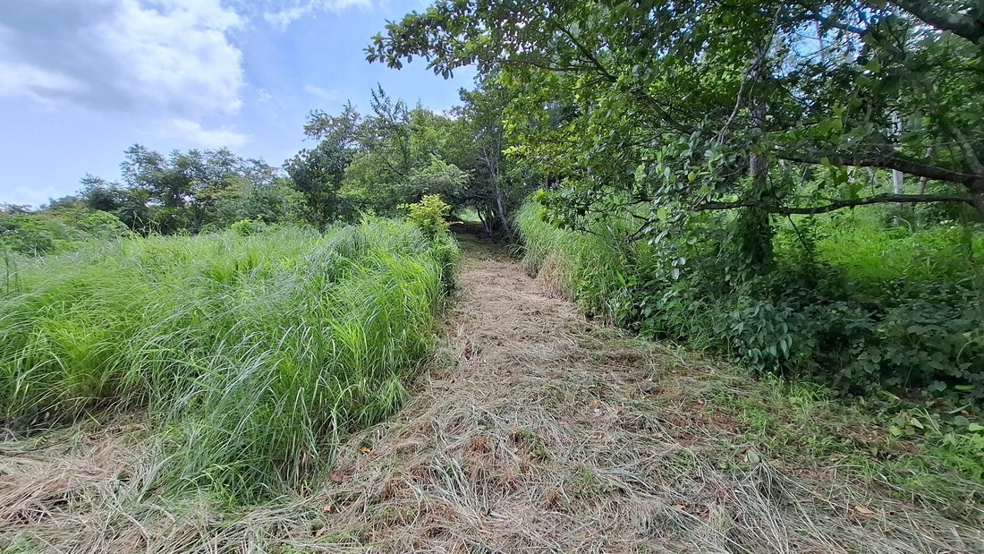Terreno a Media Luna, Provincia de Panamá Oeste, Panamá 5 - 19077137
