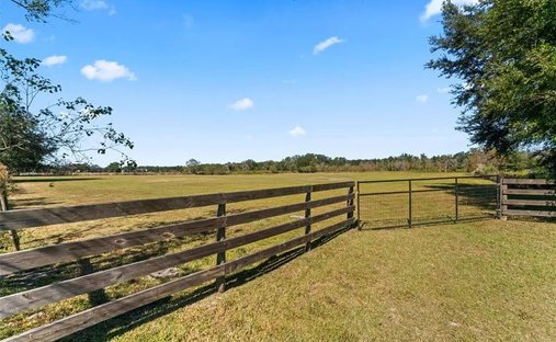 Land in San Antonio, Florida, Vereinigte Staaten 1
