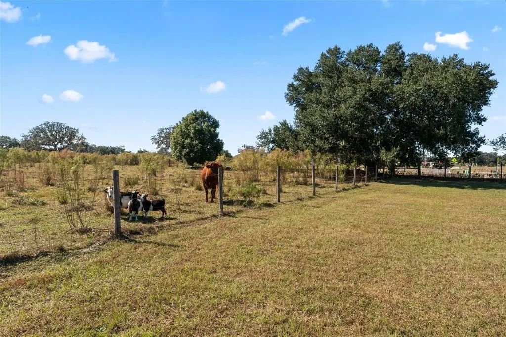 Terreno en San Antonio, Florida, Estados Unidos 4 - 19082511