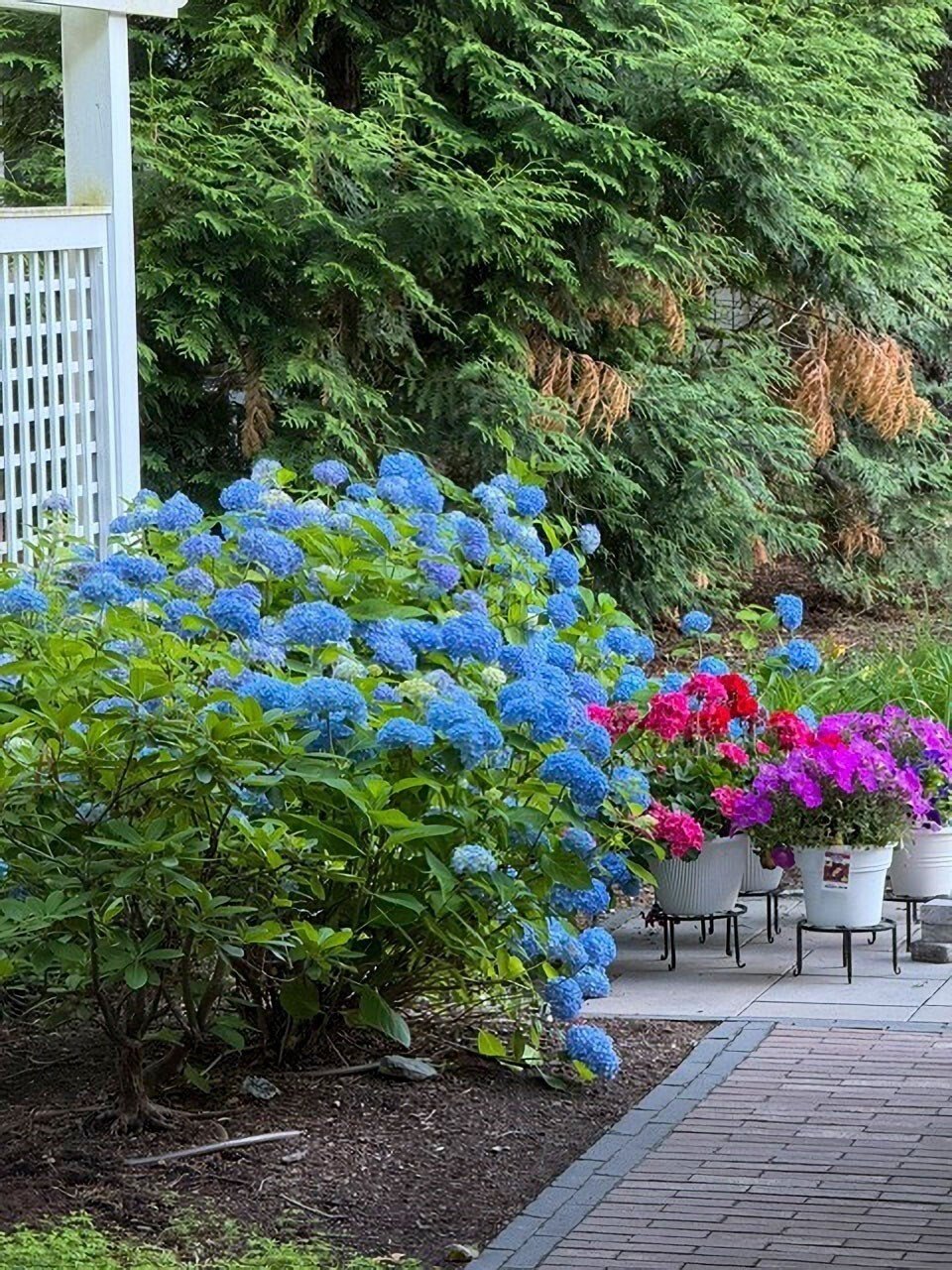 Condo in Newton, Massachusetts, United States 5 - 19079554