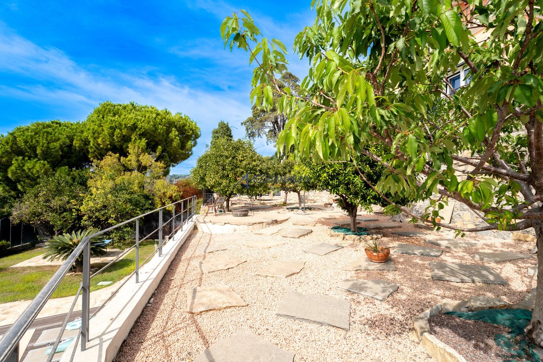 Altro a Bordighera, Liguria, Italia 3 - 19079078
