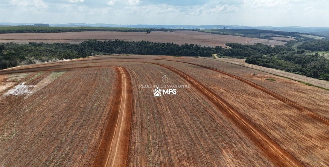 Rancho en Ronco, Estado de Paraná, Brasil 5 - 19077748