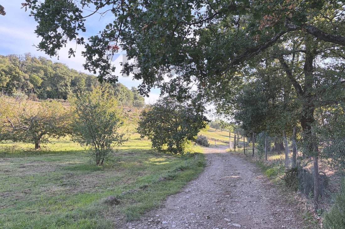 Casa en Roccastrada, Toscana, Italia 4 - 19076135