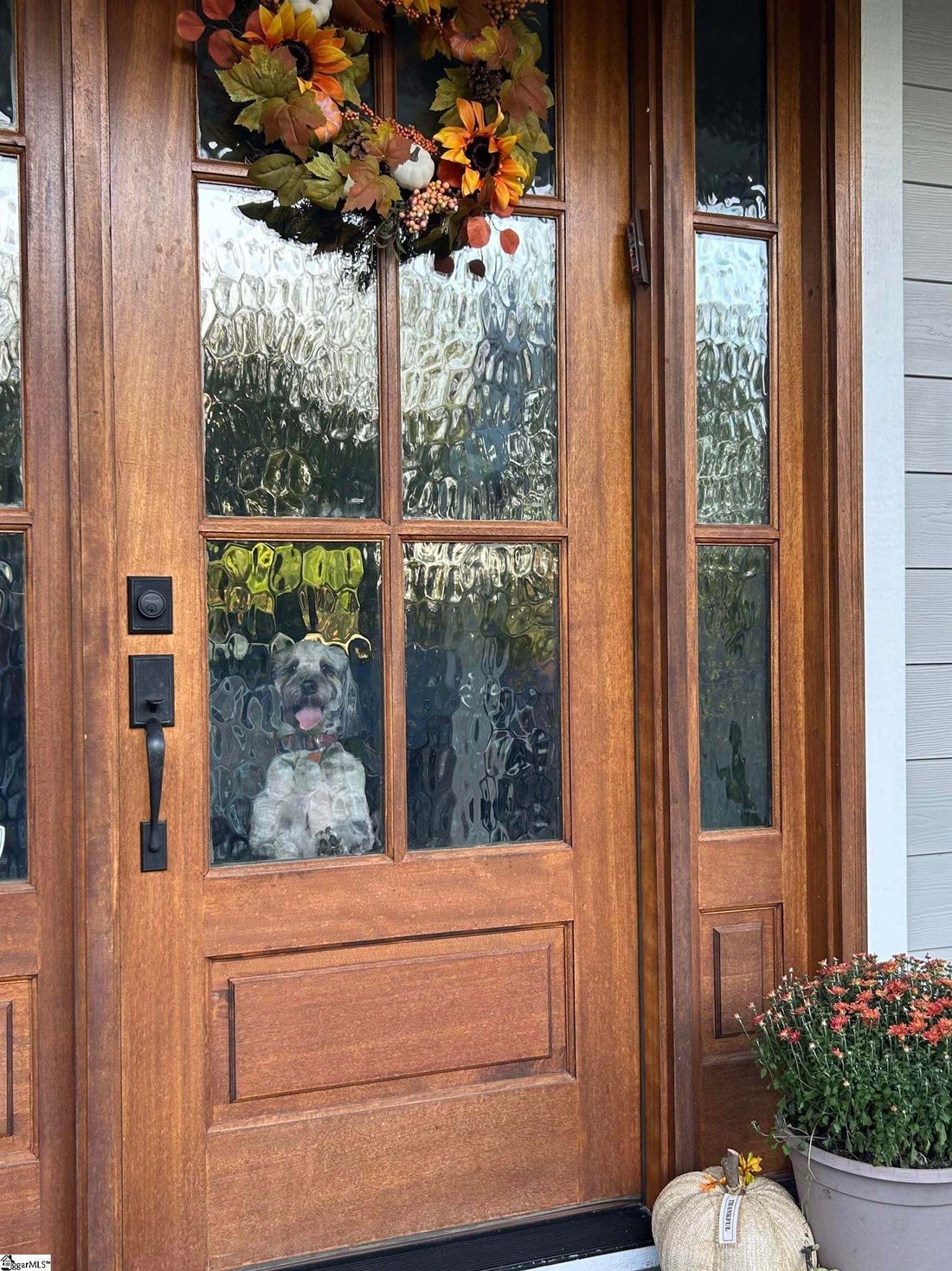 Haus in Travelers Rest, South Carolina, Vereinigte Staaten 5 - 19083730