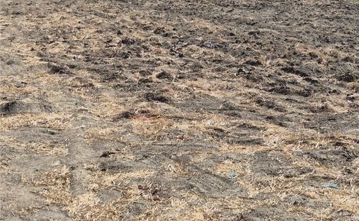 Land in Hemet, California, United States 1
