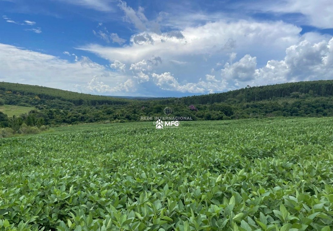 Farm Ranch in Angatuba, São Paulo, Brasilien 2 - 19077753