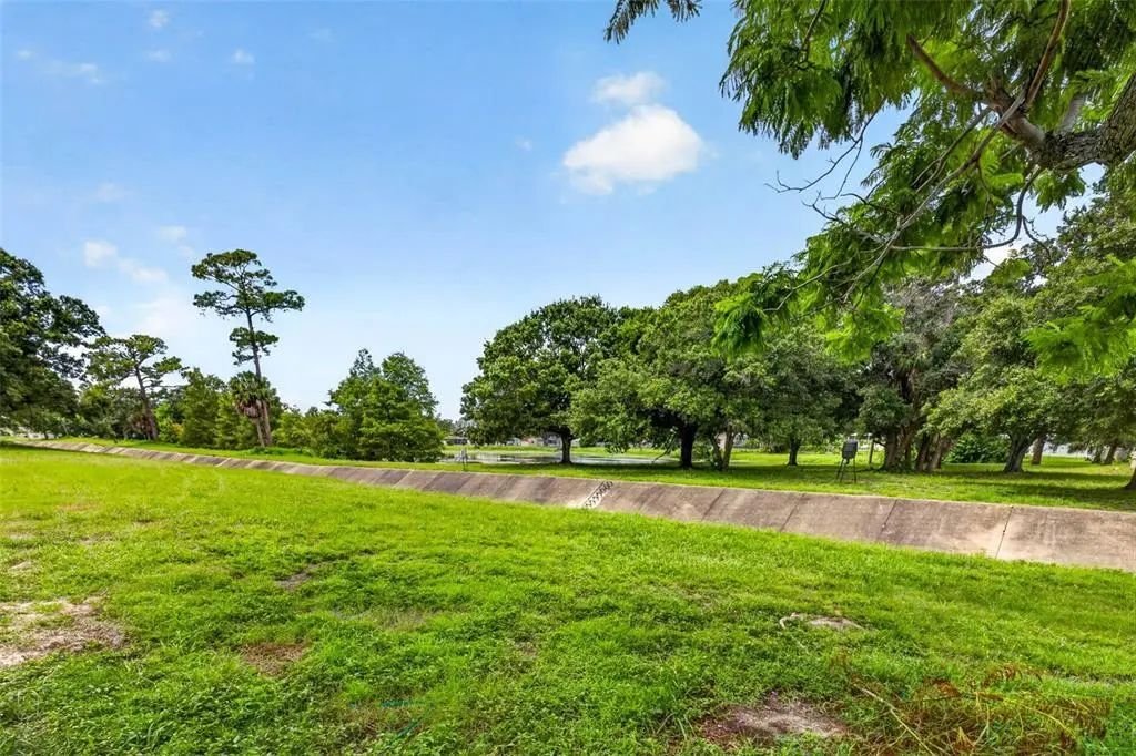 House in Pinellas Park, Florida, United States 5 - 19082496