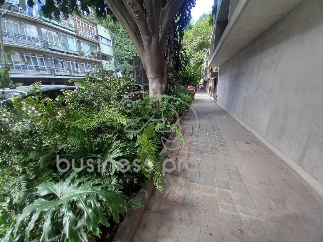 Apartamento en Ciudad de México, México 3 - 19078579