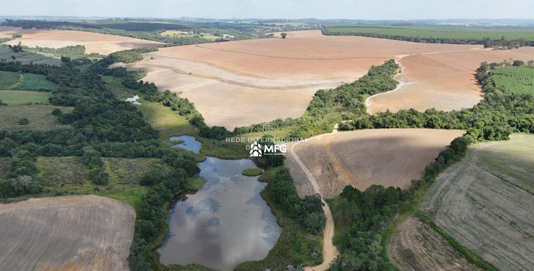 Rancho en Ronco, Estado de Paraná, Brasil 4 - 19077748