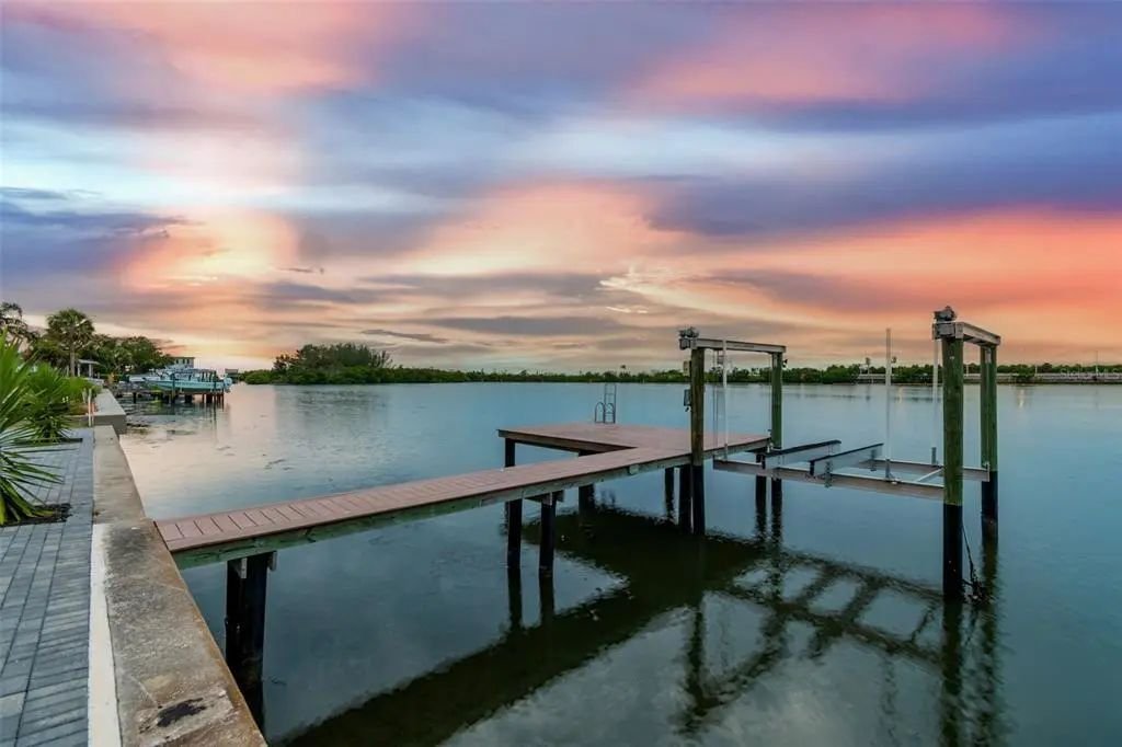House in Tampa, Florida, United States 3 - 19082481
