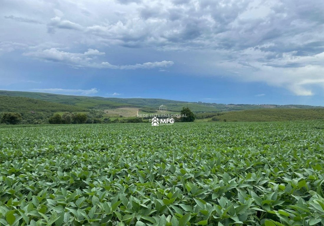 Farm Ranch in Angatuba, São Paulo, Brasilien 5 - 19077753