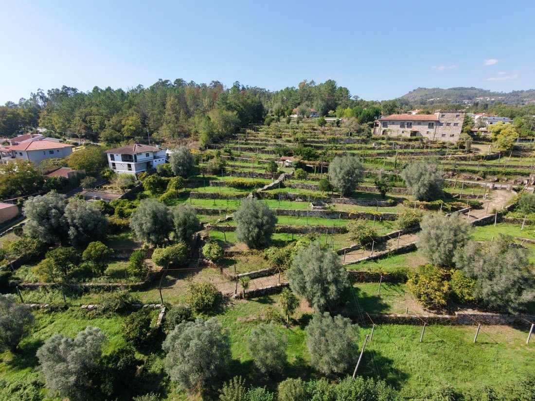 Casa de Campo en Coucieiro, Braga, Portugal 4 - 19077149