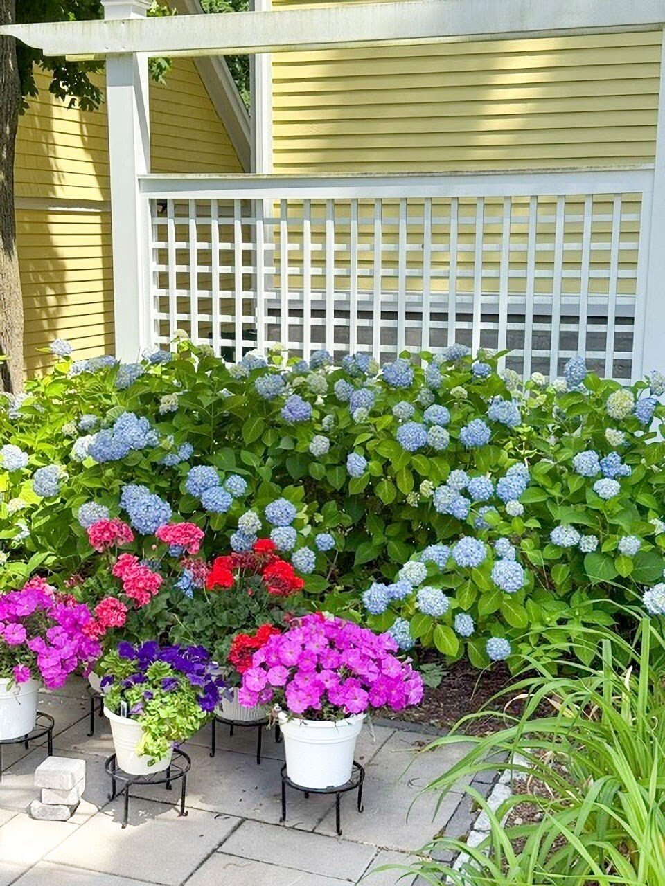 Condo in Newton, Massachusetts, United States 4 - 19079554
