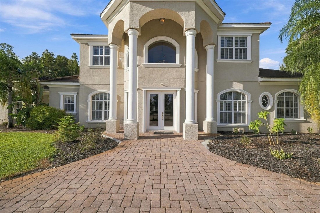 House in Land O' Lakes, Florida, United States 3 - 19078867