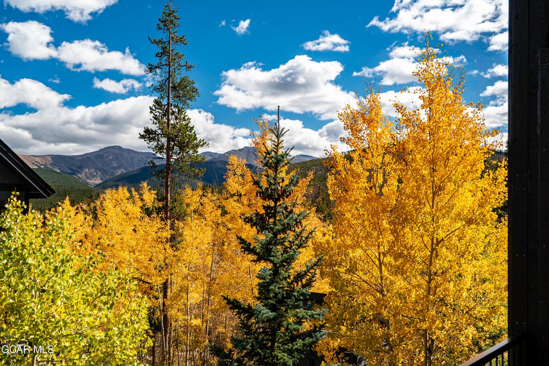 Townhouse in Winter Park, Colorado, United States 3 - 19079706