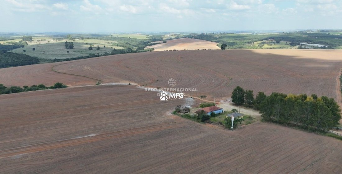 Rancho en Ronco, Estado de Paraná, Brasil 1 - 19077748