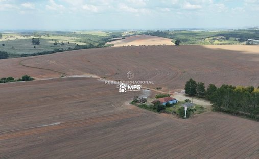 Azienda agricola a Ronco, Paraná, Brasile 1