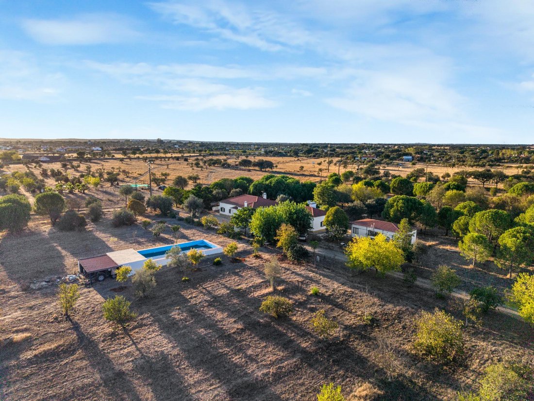 Villa in Bacelo e Senhora da Saude, Distrikt Évora, Portugal 2 - 19077070
