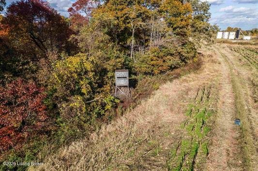 Terreno a Falls of Rough, Kentucky, Stati Uniti 4 - 19080024